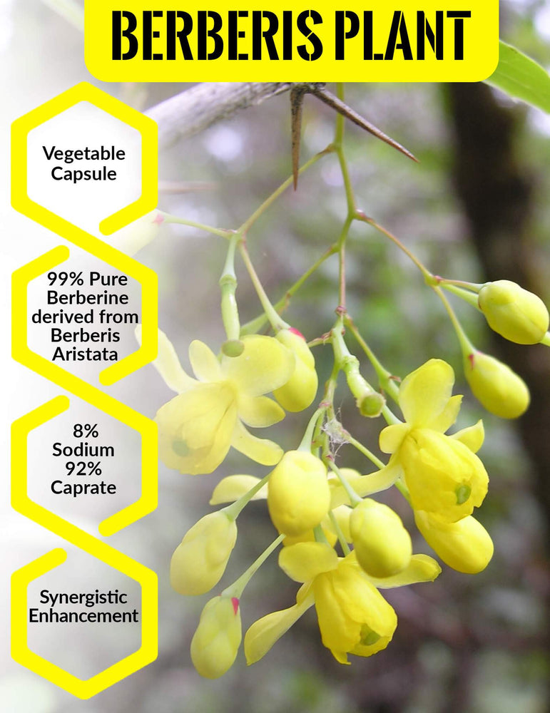 Load image into Gallery viewer, Berberine HCL With Sodium Caprate